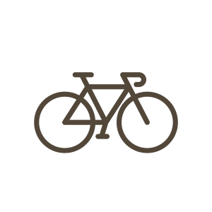 Bed-and-Breakfast-Villino-Argine-bicicletta-brown-linea